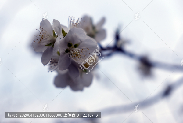 春意