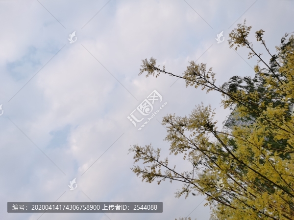 天空