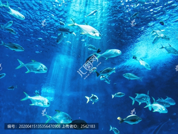 水族館