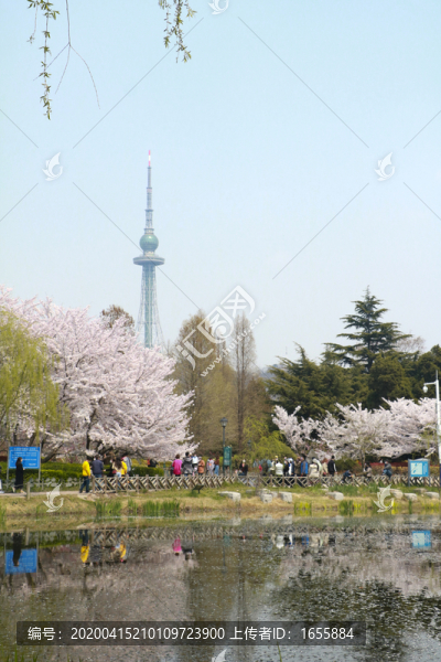 公園一角