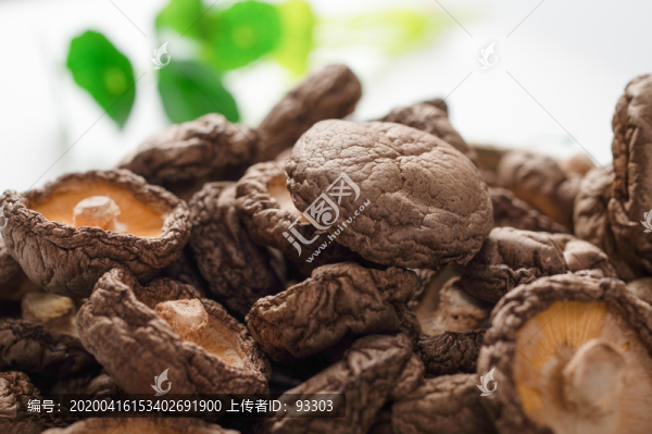 香菇