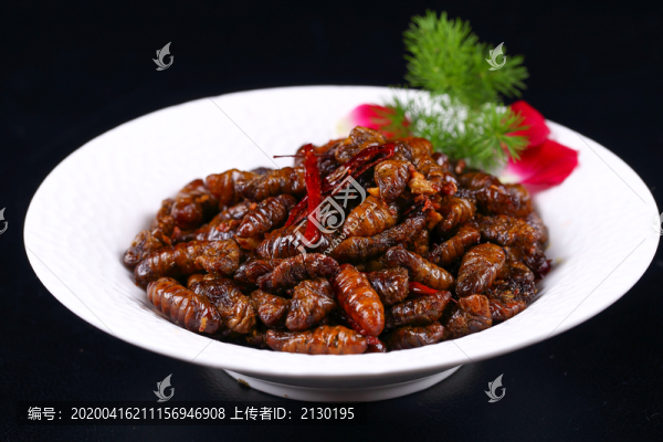 香脆金蟬