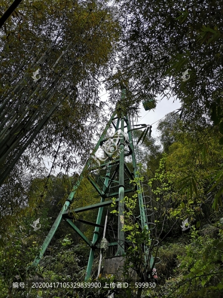 高山密林中的纜車
