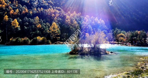 陽光下的玉龍雪山藍月谷美景
