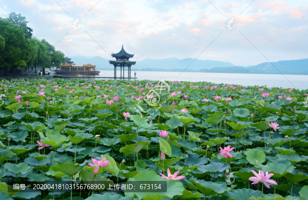 西湖風(fēng)光