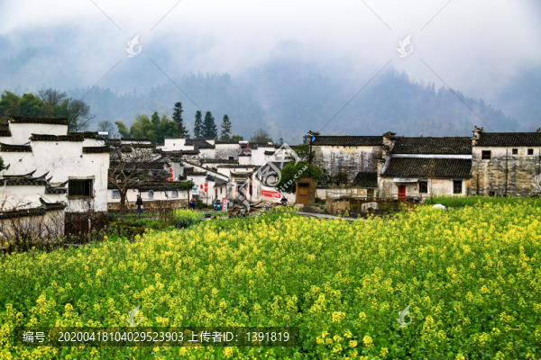 西遞古村景區(qū)