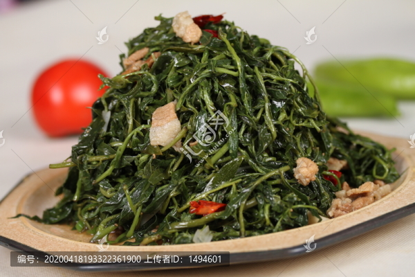 肉炒苦菜