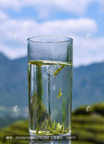 茶場(chǎng)