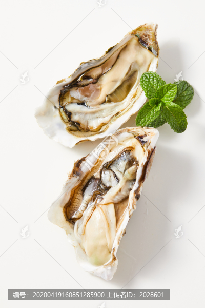 鮮活生蠔