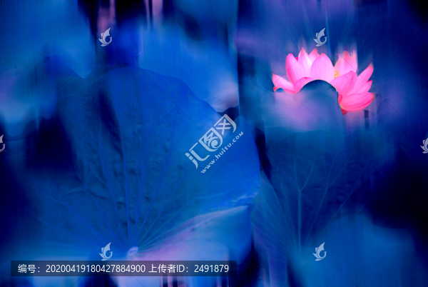 荷花裝飾畫
