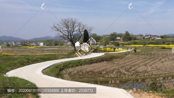 村村通水泥路