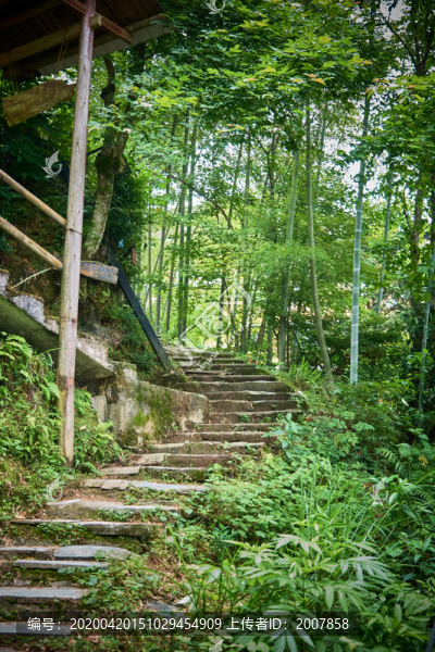 山路