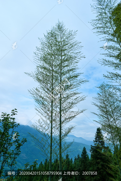 廣西山水