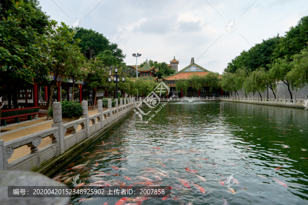 鯉魚池