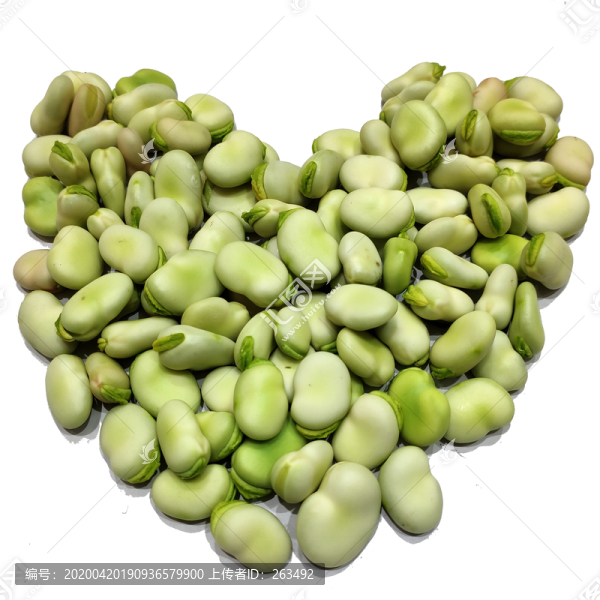 心形蠶豆胡豆