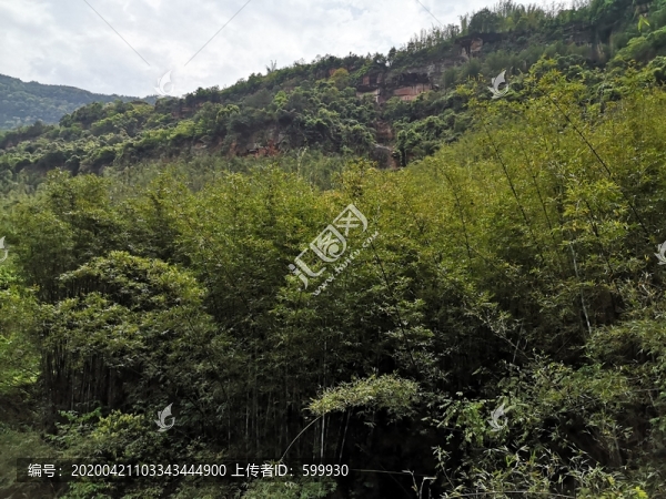 綠水青山