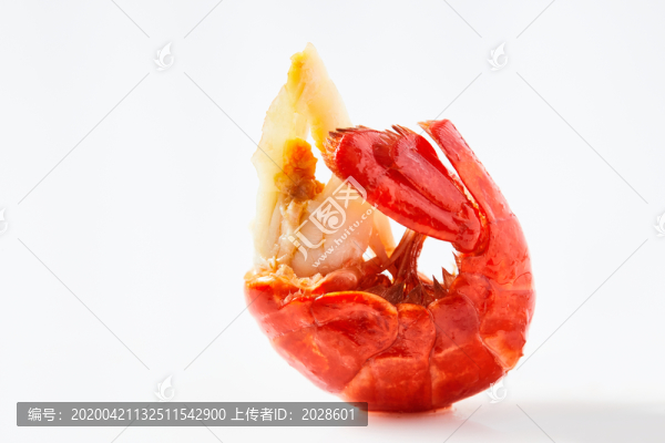 高清小龍蝦特寫
