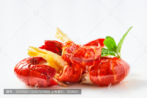 高清小龍蝦特寫
