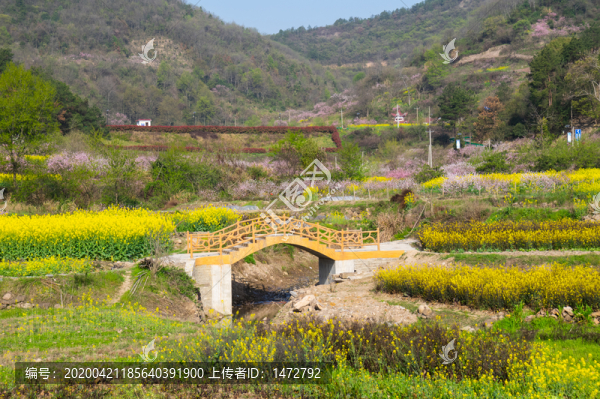 湖北黃石沼山森林公園春季風(fēng)光