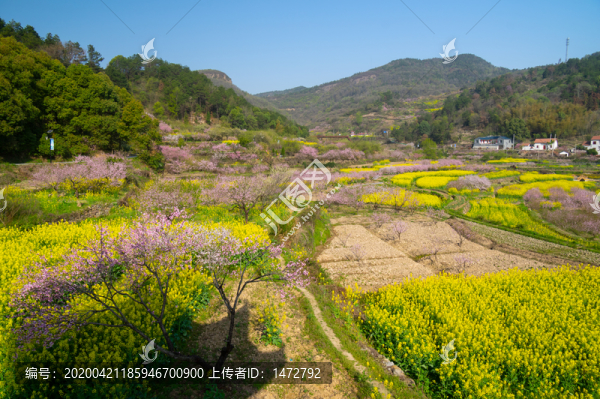 湖北黃石沼山森林公園春季風(fēng)光