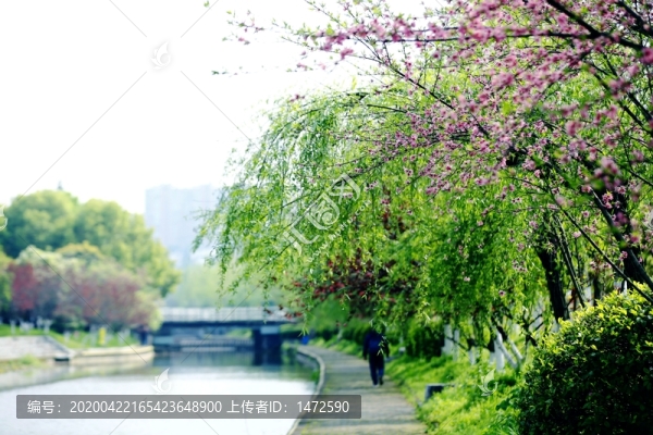 春日小景