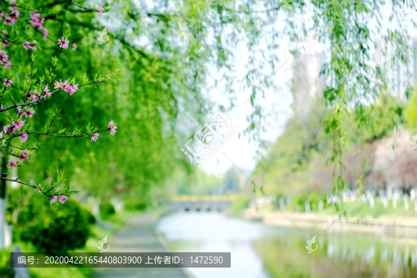 春日小景