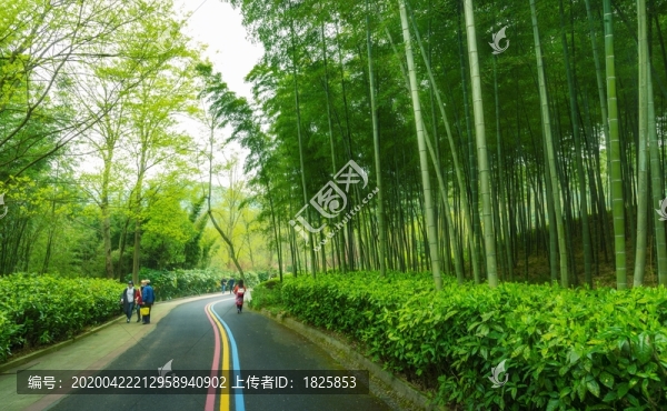 宜興竹海