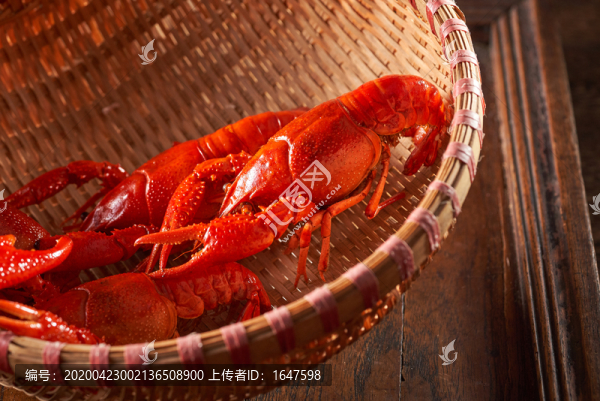 小龍蝦