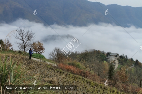 FG竹溪云霧