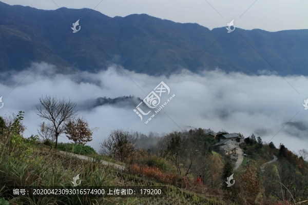 FL竹溪云霧