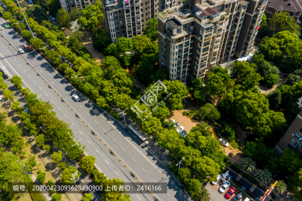 小區(qū)綠化