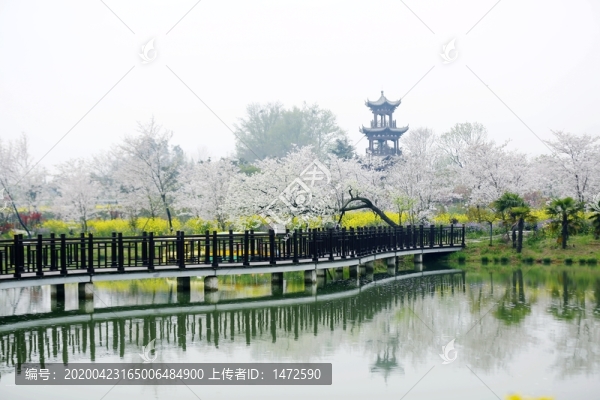 花鄉(xiāng)春色