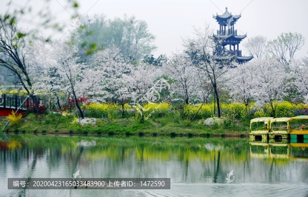 花鄉(xiāng)春色
