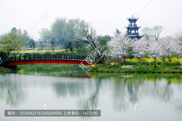 花鄉(xiāng)春色