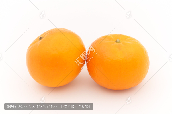 橙子攝影