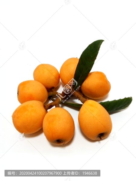 枇杷