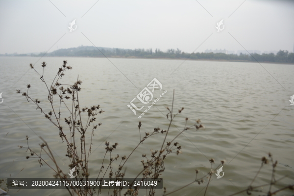 戶外山水風(fēng)景植物素材圖