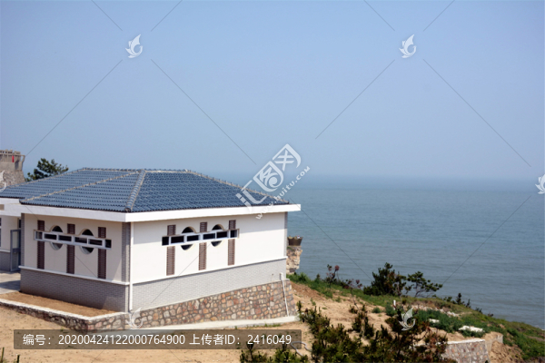 海洋海島動(dòng)物和海景