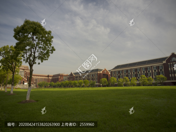 上海建橋學院