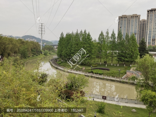 公園綠植