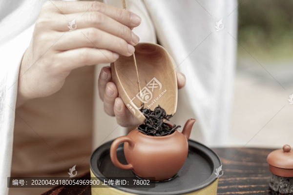 茶藝師正在泡茶