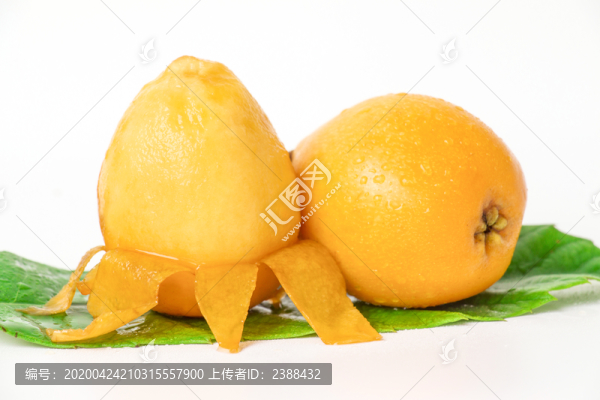 枇杷