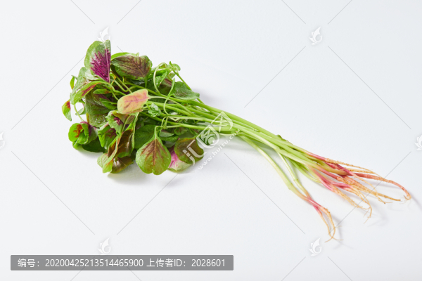 紅莧菜