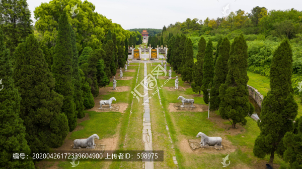 明顯陵