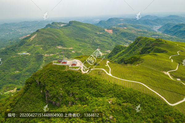 山區(qū)生態(tài)茶園航拍