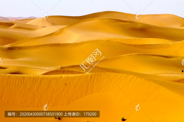 大漠戈壁D