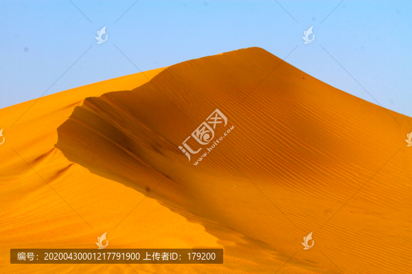 黃沙D