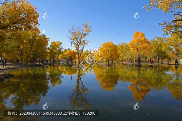 沙漠的海