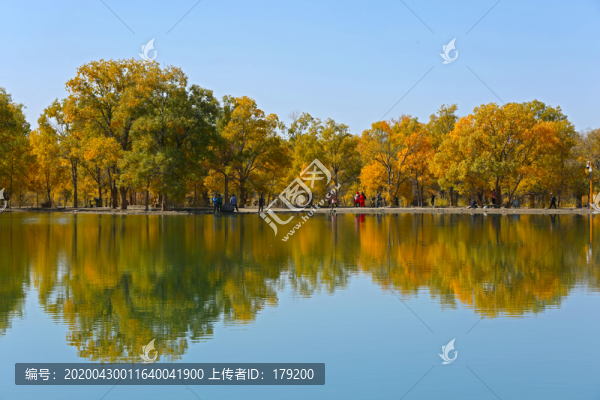 沙漠綠洲五
