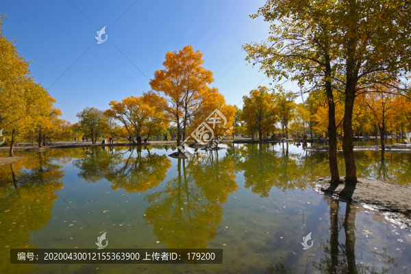沙漠綠洲九